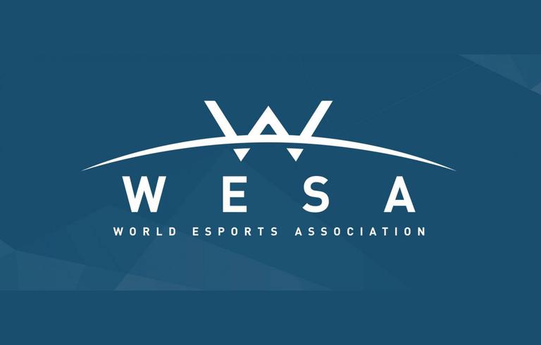 Gallery: What is WESA?